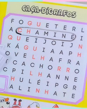 Captura de tela 2026 01 12 083356